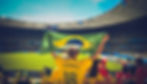 Football stadium. Man with Brazil jersey on holding Brazil flag.