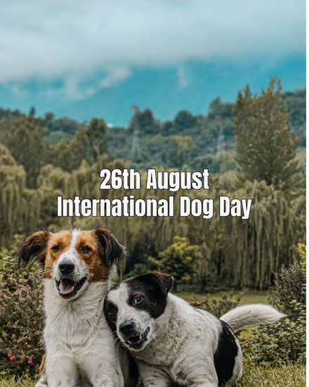 International Dog Day. Two dogs in front of forest.