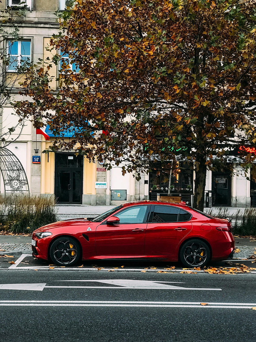 Red car in front of house and tree.