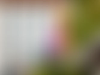 Tender opportunity: Feasibility study for health and life sciences sector growth