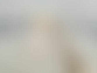 Why I Created the State Car Diffuser Collection