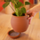 Miniature : POT à PLANTER coupelle intégrée