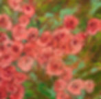 Fairy Roses 2