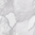 very lightly detailed white and grey marble grain.jpg