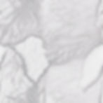very lightly detailed white and grey marble grain.jpg