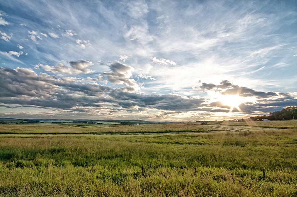 PRAIRIES.jpeg