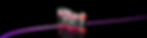 CMC_GROUP_banner.jpg