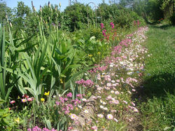 12200883_10205340402092067_1149726946_n