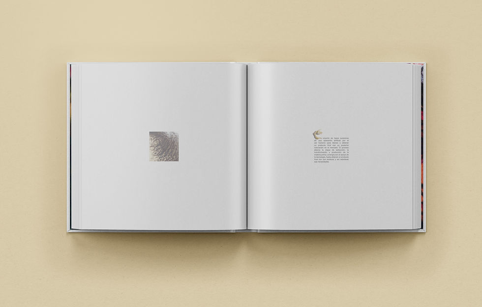 Square-hardcover-book-capitulo.jpg