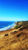 The Gold Coast
