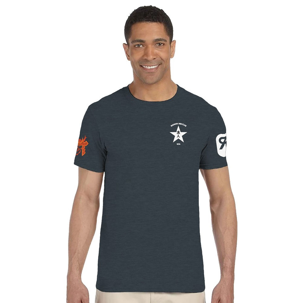 Thumbnail: The Looster Ronin USA shirt
