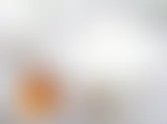 Milk And Honey Flowed