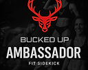 20250604_0410_Ambassador Fit Sidekick_remix_01jwx6m2vbfq4rrx35wa20haxd.png