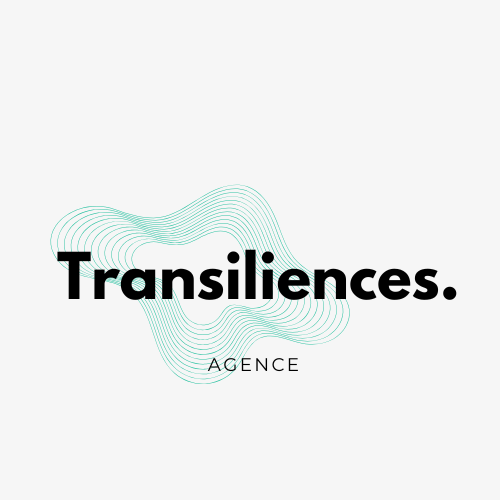 Transiliences.-2.png