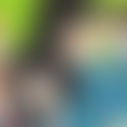 KIMI NI TODOKE: Un viaje de amor y crecimiento personal