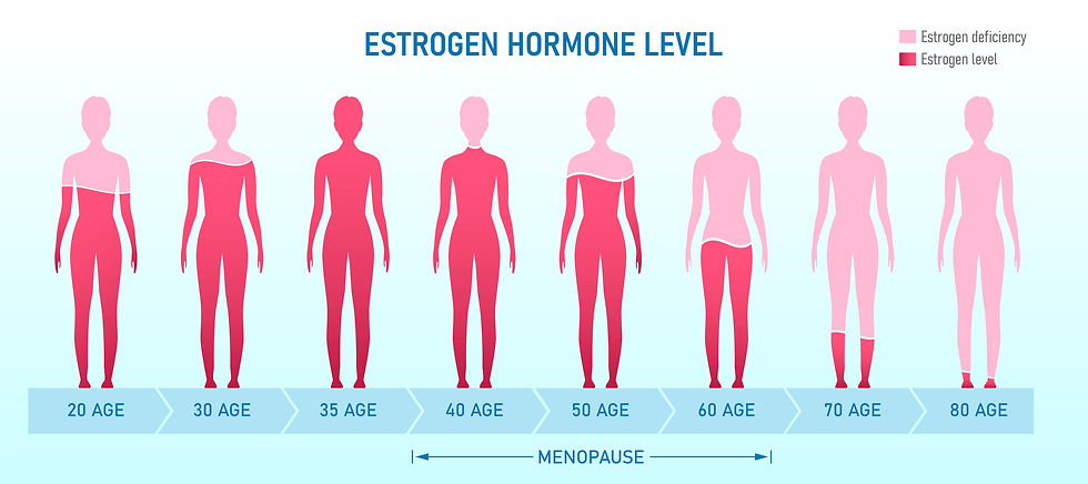 Chart showing estrogen hormone levels in women