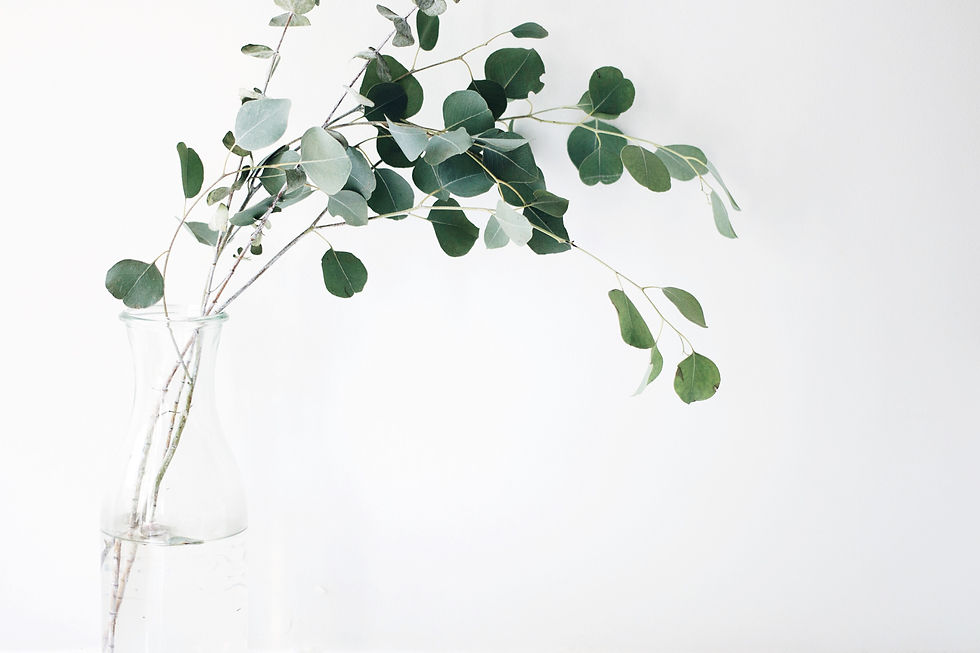 Vase with eucalyptus leaves