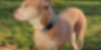 d5banner.jpg