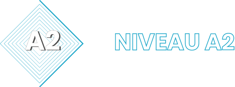 niveauA2.png