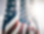 Military Flag Vet.png