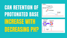 Exploring the Surprising Increase in Retention Time of Protonated Bases at Low pH in RPLC