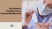 The Journey of Drug Discovery to Commercialization in EU