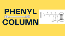 Phenyl Column Mystery