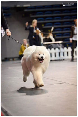 Photo by Kadi Haljand