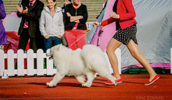 Photo by Siim Kinnas