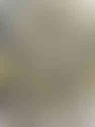 Sérigraphie , Rémy Jacquier