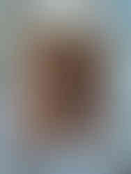 Robert Combas sérigraphie Rhino