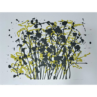 Sérigraphie sans-titre, Rémy Jacquier