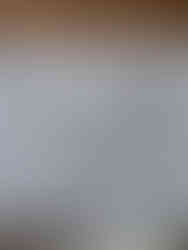 création pour sérigraphie. Atelier de sérigraphie avec l'IMSE