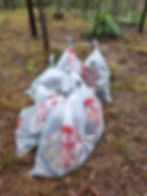 20220831_074144.jpg