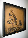 Diorama- Extinct Birds of the NZ Bush.jp