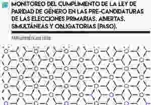 Monitoreo del cumplimiento de la Ley de Paridad en las Pre-candidaturas en las PASO