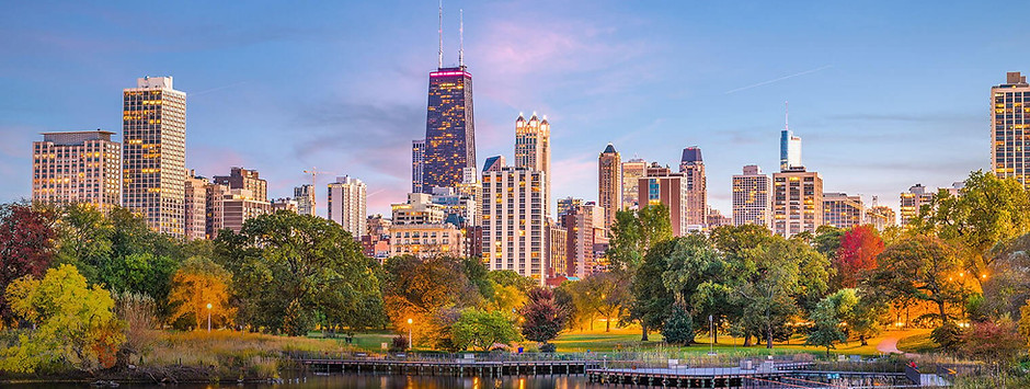 Chicago Skyline Picture.jpg