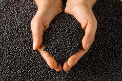 plastic-black-pellets.jpg