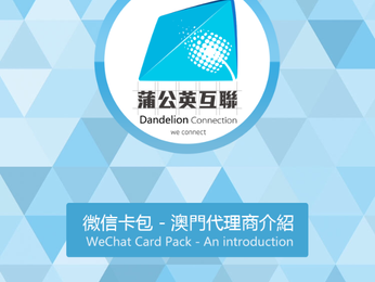 Company's Introduction