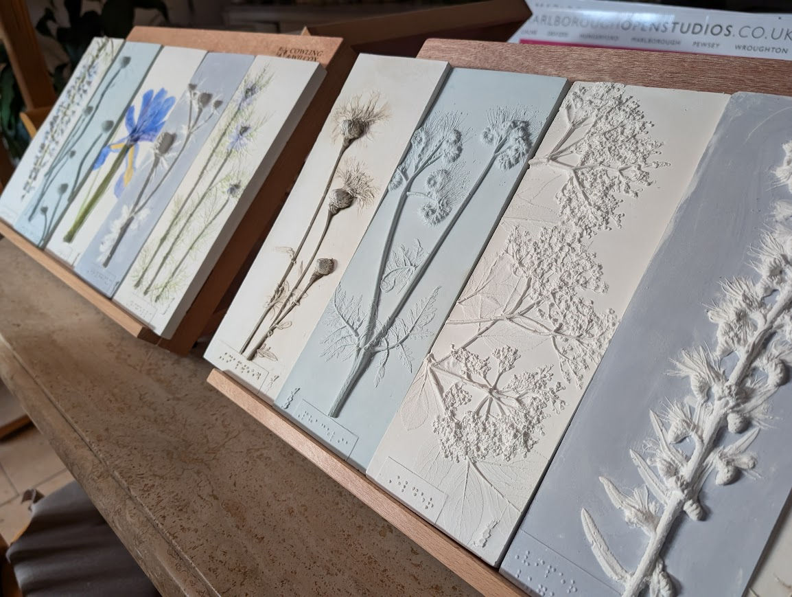 Wildflowers Botanical Braille