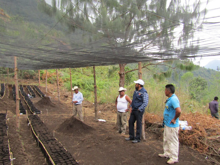 Proyecto Kahlúa