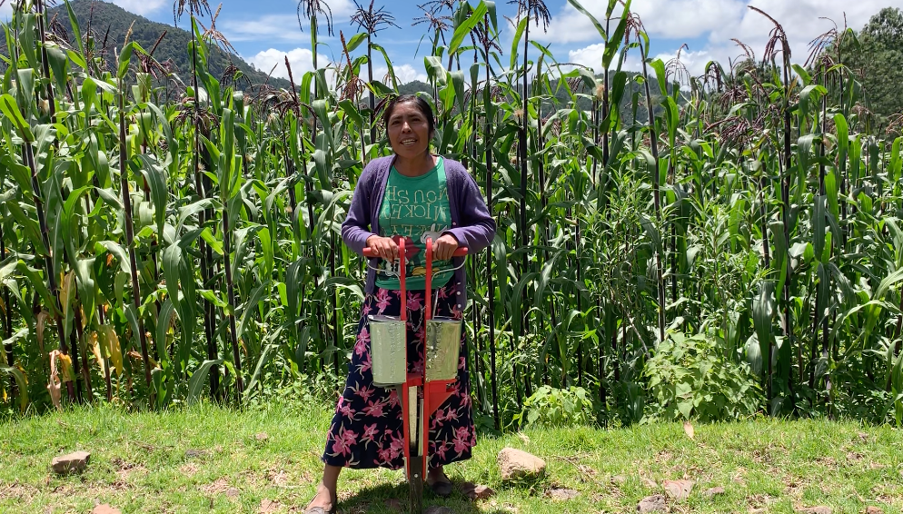 Sra. Francisca Santiago, campesina indígena, Mixteca, Oaxaca, mostrando la sembradora manual que recibió de parte de Fondo para la Paz para cultivar su parcela.