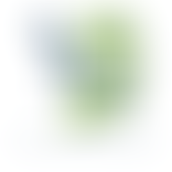 Economic developers help entrepreneurs and small businesses