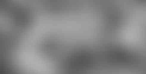 Fun at the lakeshore