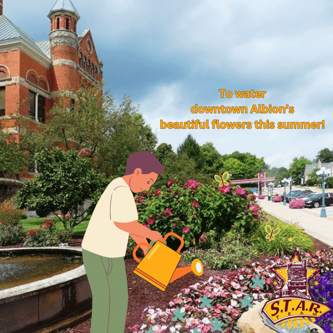 seeking-watering-teams-to-keep-albion-s-flowers-blooming-this-summer