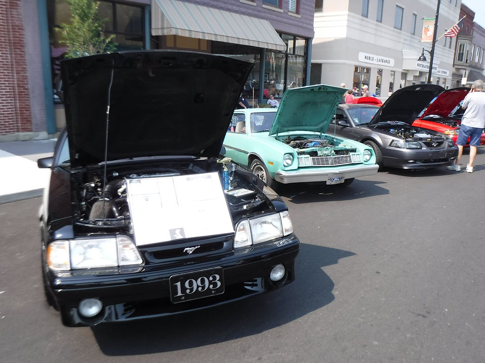 Photo of classic cars on display