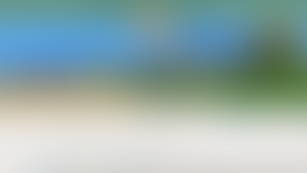 Raising the bar for Albion Parks & Recreation