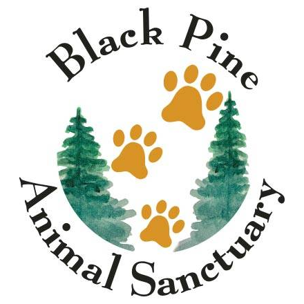 Black Pine Animal Sanctuary