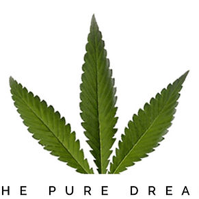 The Pure Dream LLC