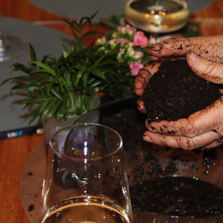 les mains dans la terre avec pomelo